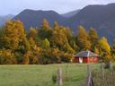 Great farm!